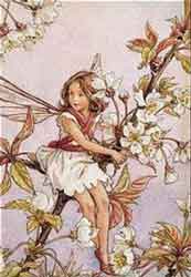 Cicely Mary Barker