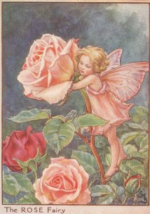 The Folwer Fairies